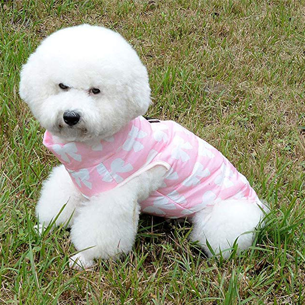 Pet Dog Warm Waterproof Vest P - Outdoor Sport Jacket Pink recensione e prezzo